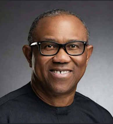 Tsohon ɗan takarar shugaban ƙasa a jam’iyyar Labour Party, Peter Obi ya ce idan aka zaɓe shi a matsayin shugaban ƙasa, zai yi wa’adi guda ɗaya ne a shekaru huɗu